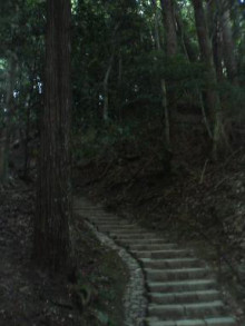 京都の鞍馬山